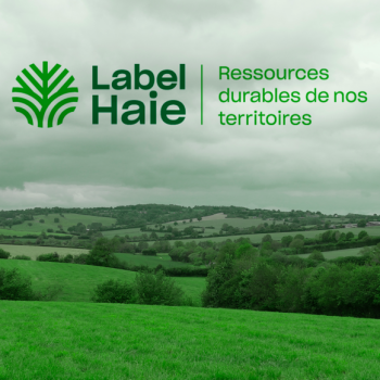 LABEL HAIE : une nouvelle branche certifiée durable !